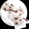Malouf zzz Gelled Microfiber Pillow - Image 3