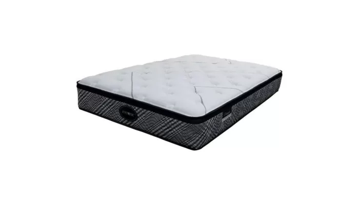 Curley's Orthopedic #3 Euro-Top