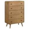 Robyn 5-drawer Chest #225095